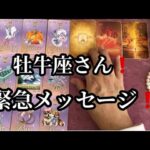 【最高の１ヶ月✨になる牡牛座さんへ表示されています】⚡️ここから１ヶ月😱全体運⭐️仕事運⭐️恋愛運🩷人間関係🩷ガッツリ読み解きました🃏