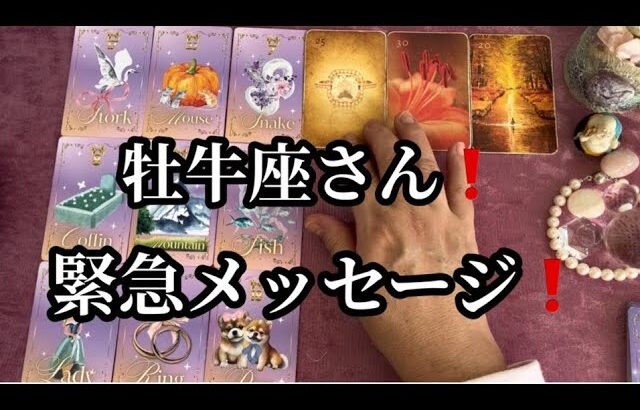 【最高の１ヶ月✨になる牡牛座さんへ表示されています】⚡️ここから１ヶ月😱全体運⭐️仕事運⭐️恋愛運🩷人間関係🩷ガッツリ読み解きました🃏