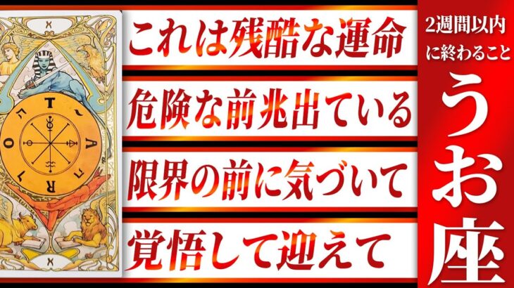 【危険】魚座さんよく見てください…その違和感気づかないとやばい 良宝華羽先生