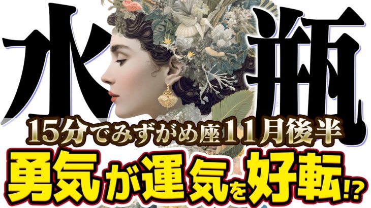 【15分でわかる！みずがめ座11月後半】警告！強制ストップは、最高の未来へのサイン【癒しの眠れる占い】