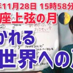 【2025年11月28日魚座上弦の月🌓】ワクワク！新世界へのお誘いが来る✨【ホロスコープ・西洋占星術】