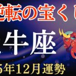 【牡牛座】2025年12月のおうし座の運勢～大逆転の宝くじ運～