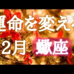 #蠍座♏️2026年の運命が変わる12月🎅💎【結論からお伝えします】あなたの運気は安泰です💓凄すぎる✨※オフ会の詳細は概要欄へ🍀※タイムスタンプあり