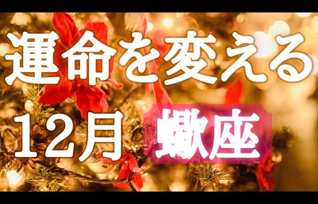 #蠍座♏️2026年の運命が変わる12月🎅💎【結論からお伝えします】あなたの運気は安泰です💓凄すぎる✨※オフ会の詳細は概要欄へ🍀※タイムスタンプあり