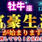 【おうし座♑️12月前半】※5秒以内に見た人限定※あなたの人生が変わります【12星座占い】