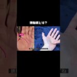 頭脳線の長さによる意味の違い #占い #手相 #スピリチュアル #手相占い