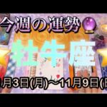 牡牛座♉️さん⭐️11月3日(月)〜11月9日(日)🔮新しくスタートを切る‼️何かを決定する時🌈