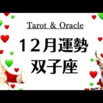 双子座、最後の最後でいっちばんイイやんけ～今年ベスト‼️感動のラスト‼️　　2025年12月全体運勢♊️仕事恋愛不安解消評価や印象【個人鑑定級タロットヒーリング】
