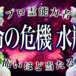 【11月27日までに見て】水瓶座さんの「不安の種」はどこ？12月で根っこから解決！