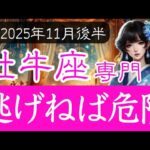 【おうし座限定♉️11月後半】選択を誤ると後戻りできないかも…五感を研ぎ澄ませ🔮牡牛座の運勢占い 2025年