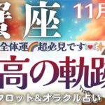 【かに座】鳥肌級😳‼️”全体運”超必見‼️最高の軌跡が待ってます🌈✨【仕事運/対人運/家庭運/恋愛運/全体運】11月後半 タロット占い