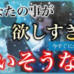 🩷あなたの事が欲しすぎて狂いそうな人🩷