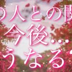 【恋愛】（※辛口🌶️あり💦）あの人との関係👫今後、どうなる??🤔💕🌀タロット🔮リーディング