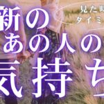 最新のあの人のあなたへの気持ち 【 恋愛 タロット オラクル カード 占い 】