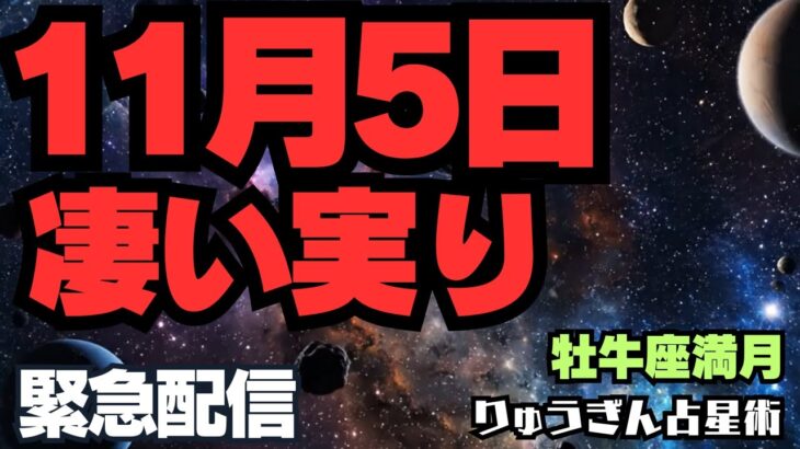【緊急配信】2025年11月5日🌕凄い実り、成果を受け取る✨牡牛座満月✨大切な日として刻む✨西洋占星術🌕