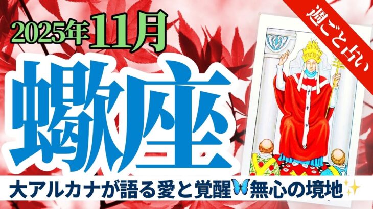 【蠍座11月】大アルカナの連なりが語る💫愛と美と魂の覚醒を経て“無心”の境地へ🌙タロット&オラクル《週ごと》