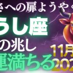 【牡牛座♉金運】7年間の努力が報われる時✨困難を乗り越えたあなたの金運がついに開花【12星座】