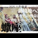 【11月後半💚】蠍座さんの運勢♏️新境地へ!!あなたの使命に取りかかって下さい🎉🎉