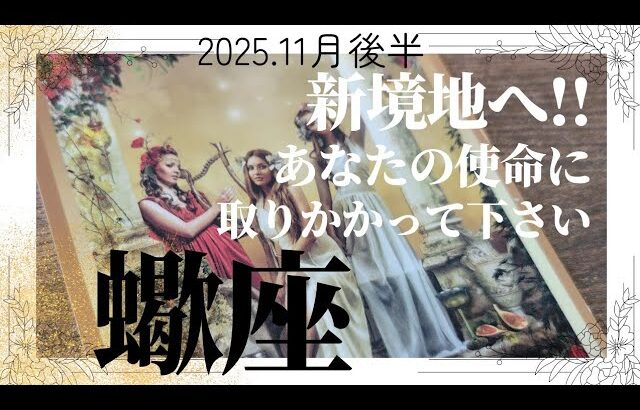【11月後半💚】蠍座さんの運勢♏️新境地へ!!あなたの使命に取りかかって下さい🎉🎉