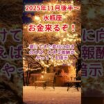 【水瓶座】2025年11月後半～みずがめ座占い #水瓶座 #みずがめ座 #shorts