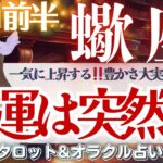 【蠍座】一気に上昇する‼️豊かさ大実感タイム🎉幸運は突然に..🌝✨【仕事運/対人運/家庭運/恋愛運/全体運】12月前半 タロット占い