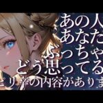 ⚠️ピリ辛あり⚠️あの人はあなたをぶっちゃけどう思ってる？😖占い💖恋愛・片思い・復縁・複雑恋愛・好きな人・疎遠・タロット・オラクルカード