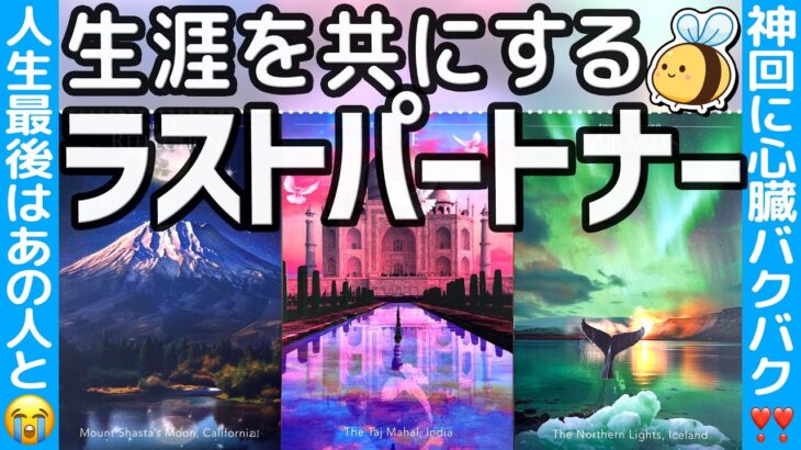 【⚠️撮影止まるレベルにどれ絶叫😱】出会ってるあの人が最後の人💍⁉︎渾身のリーディングにつき、当てます❗️特徴・出会い・未来。愛のメッセージも💘恋愛タロット