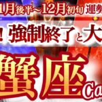 蟹座 11月後半~12月初旬【最高の主役になる！生まれ変わり級のステージ変更】スランプ脱出　　かに座　2025年 １１月　タロットリーディング　Cancer November　December