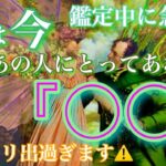 【🦋鑑定中に急展開💞】実は今のあの人にとってあなたは〇〇。ハッキリ出すぎます🦋