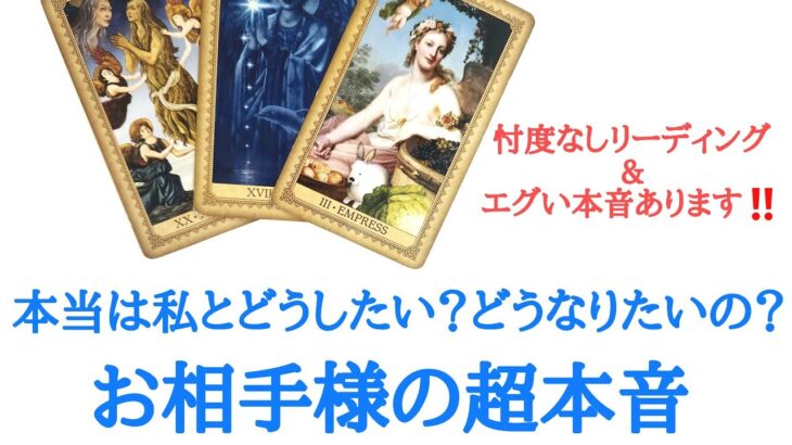 🌹恋愛タロット占い🌹エグい本音あります‼️あの人は、本当は私とどうしたい？どうなりたいの？お相手様の超本音