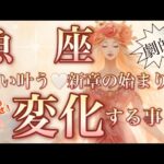 魚　座🌎棚ぼた神運気‼️これから始まる絶好調の流れ😳【個人鑑定級】先読み深掘りリーディング#アファメーション#潜在意識#魚座