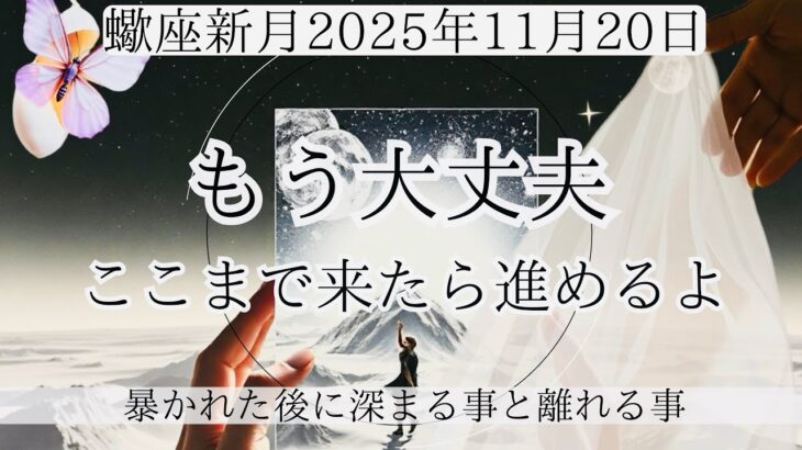 【蠍座新月】戻らない 戻れない 戻らなくていい —真実だけが残るタイミング —