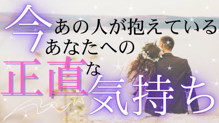 今あの人が抱えているあなたへの正直な気持ち 【 恋愛 タロット オラクル カード 占い 】