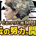 【15分でわかる！おひつじ座11月後半】運命の転換期！「やらないこと」を決めたら、全てが始まった【癒しの眠れる占い】