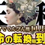 【15分でわかる！てんびん座11月後半】直感と決断！手放しによる新しい出会い【癒しの眠れる占い】