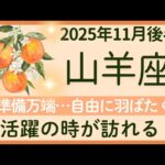 【山羊座】11月後半★自由に人生を選ぶ。自信を持って。可能性、力を発揮できる★オラクルカードリーディング
