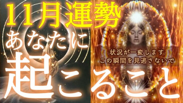 【選択肢◯さんに神結果が😳】状況が一変する✨11月の流れを見逃さないで🙏〇〇が人生を大きく変えます‼️起こりそうな事、気をつけること、恋愛仕事健康運、ラッキーアイテム、カラー🌹個人鑑定級