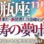 【水瓶座】怒涛の夢叶回🎉‼️凄すぎてドキドキが止まらない❤️‍🔥全体運必見です👁️‼️【仕事運/対人運/家庭運/恋愛運/全体運】11月後半 タロット占い