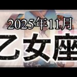 【乙女座♍️11月運勢】わぉ〜凄すぎる❗️人生大逆転しちゃうかも✨