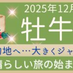 【牡牛座】12月前半✨チャンスをつかめる！この先もうまく行きそう！状況が進む✦オラクルカードリーディング 2025