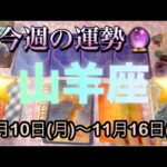 山羊座♑️さん⭐️11月10日(月)〜11月16日(日)🔮奇跡的な流れが‼️恋愛や人間関係が最高な展開🌈