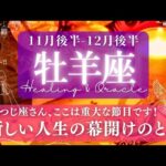 【牡羊座】11月後半-12月後半／明るい光に満ち溢れた道へ！大きな変化の時期✨🕊🌕【タロット】【運勢】【占い】【おひつじ座】