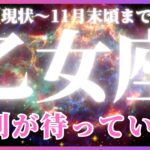 【乙女座♍️現在〜11月末】エネルギー大復活！🙌✨運が味方しているので動いたら勝てます！🏅（タロットカードリーディング）