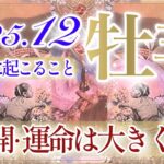 【おひつじ座さん⛄️】12月あなたに起こること❄️神展開でした‼️全ての牡羊座さんに見てほしい‼️運命は大きく好転💫凄い流れが来ています👏✨【タロット・ルノルマン・オラクルカード占い】