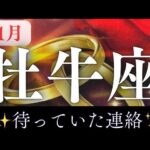 11月【牡牛座】〜✨待っていた連絡✨〜【ルノルマンカードグランタブロー＆オラクルカードリーディング】