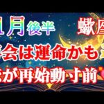 【蠍座さん🦂11月後半】💘止まっていた恋が再始動…？🔥見逃せないサインがやってくる💫