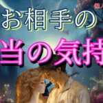 【あなたはこう想われてます😳】お相手の本当の気持ち💓恋愛タロット占い