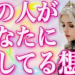 タロット占い恋愛【え〜💕どんだけ出すの⁉️】お相手があなたに隠してる想い🔮○のカードたくさん‼️今回は✨神回✨過去動画🌸