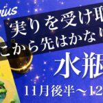 みずがめ座♒️2025年11月後半〜12月前半🌝 みずがめ座さん、恵まれ過ぎ！不動の岩が動くかも、ここから先めちゃくちゃ楽になる、強めのサイン来てる