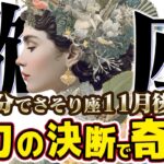 【15分でわかる！さそり座11月後半】魂の覚醒！ あなたの「聖なる知識」が未来を切り開く【癒しの眠れる占い】